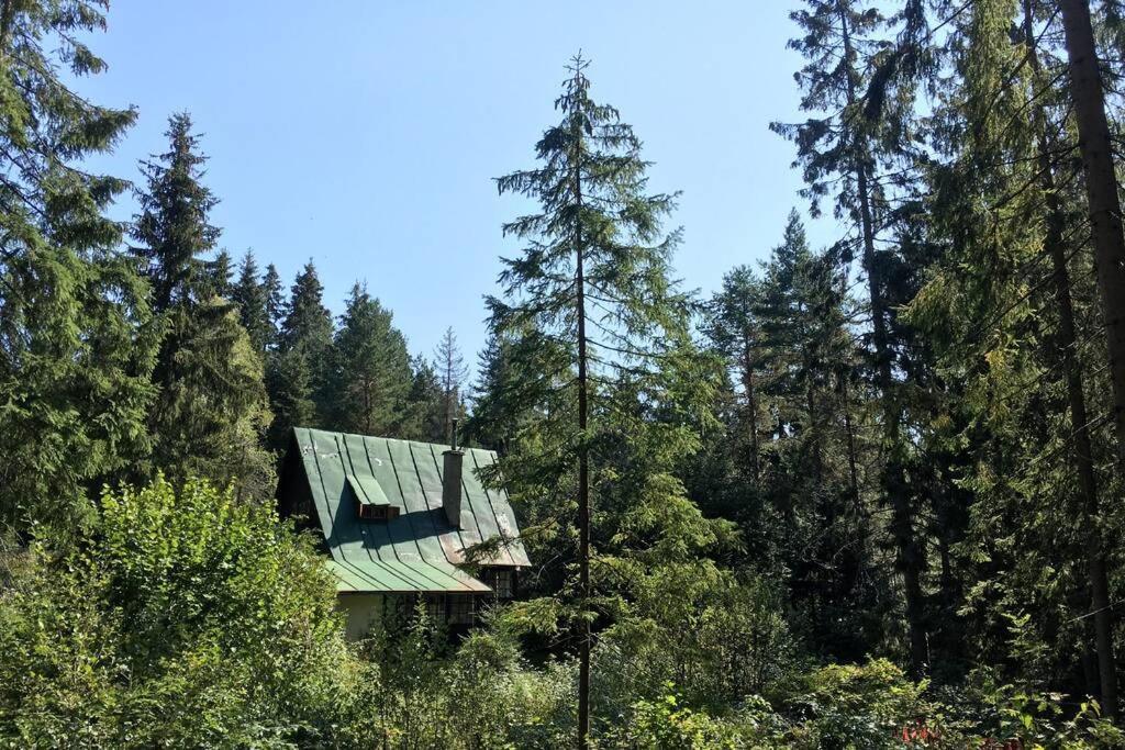 Enchanted Forest Chalet Tatranská Štrba Eksteriør billede