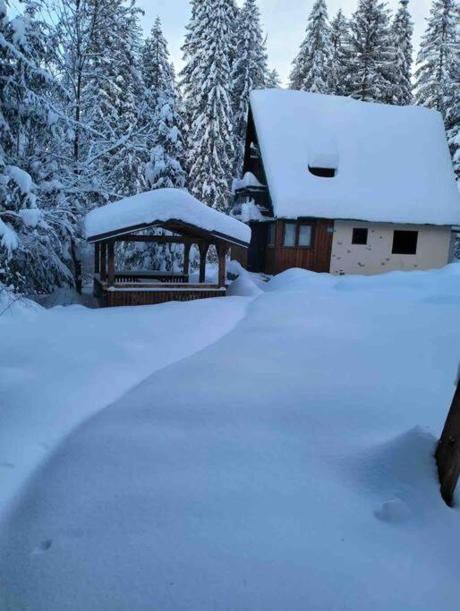 Enchanted Forest Chalet Tatranská Štrba Eksteriør billede
