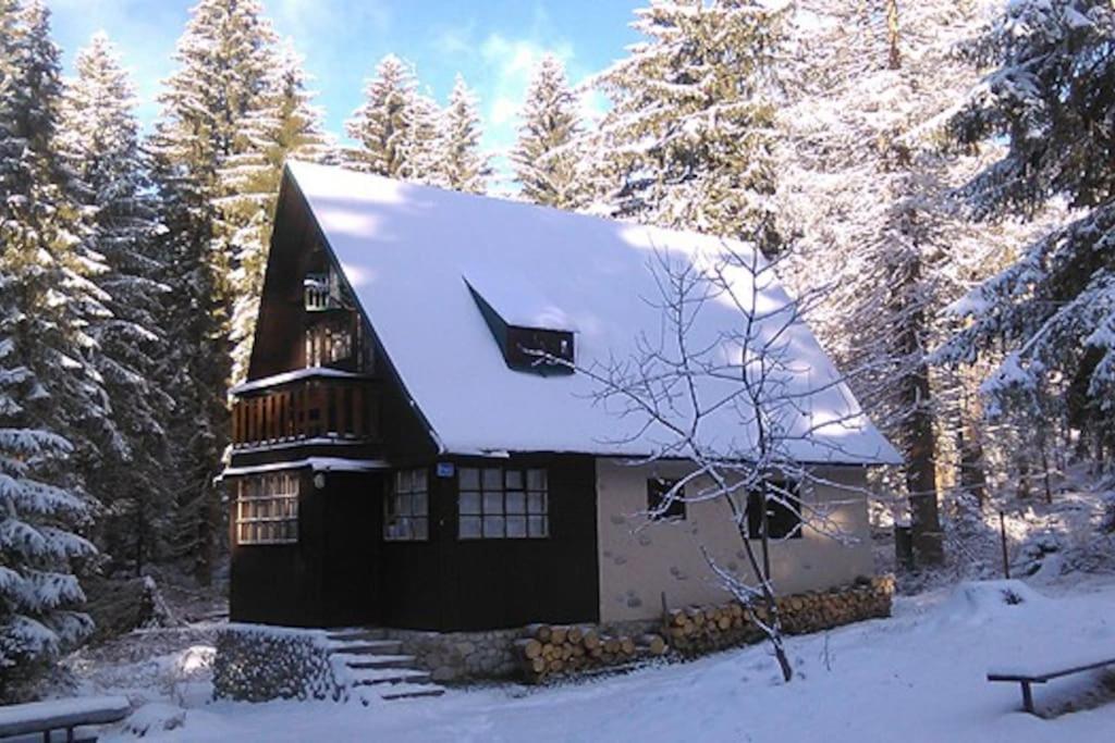 Enchanted Forest Chalet Tatranská Štrba Eksteriør billede
